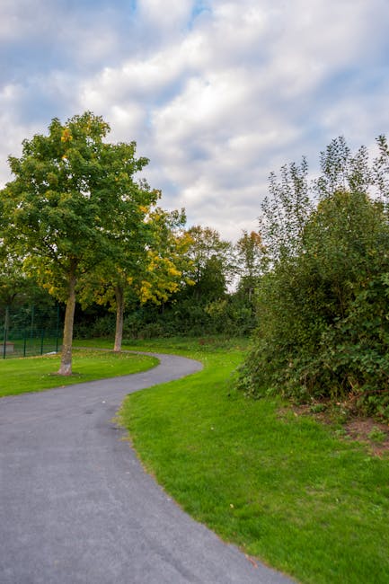 A paved pathway winding through a park area with neatly trimmed green grass on both sides and several trees, some with yellowing leaves indicating early autumn. To the right, there is a dense, well-maintained hedge, and taller trees in the background under a partly cloudy sky with soft light. The setting appears calm and suitable for outdoor activities or walking. In the context of house removals and relocation services, this scene may depict access routes or parking advice locations near Forster Memorial Park in Catford, as referenced on the Catford Man and Van website, providing a visual overview of the environment potentially used for loading or unloading furniture or boxes during a home relocation process.